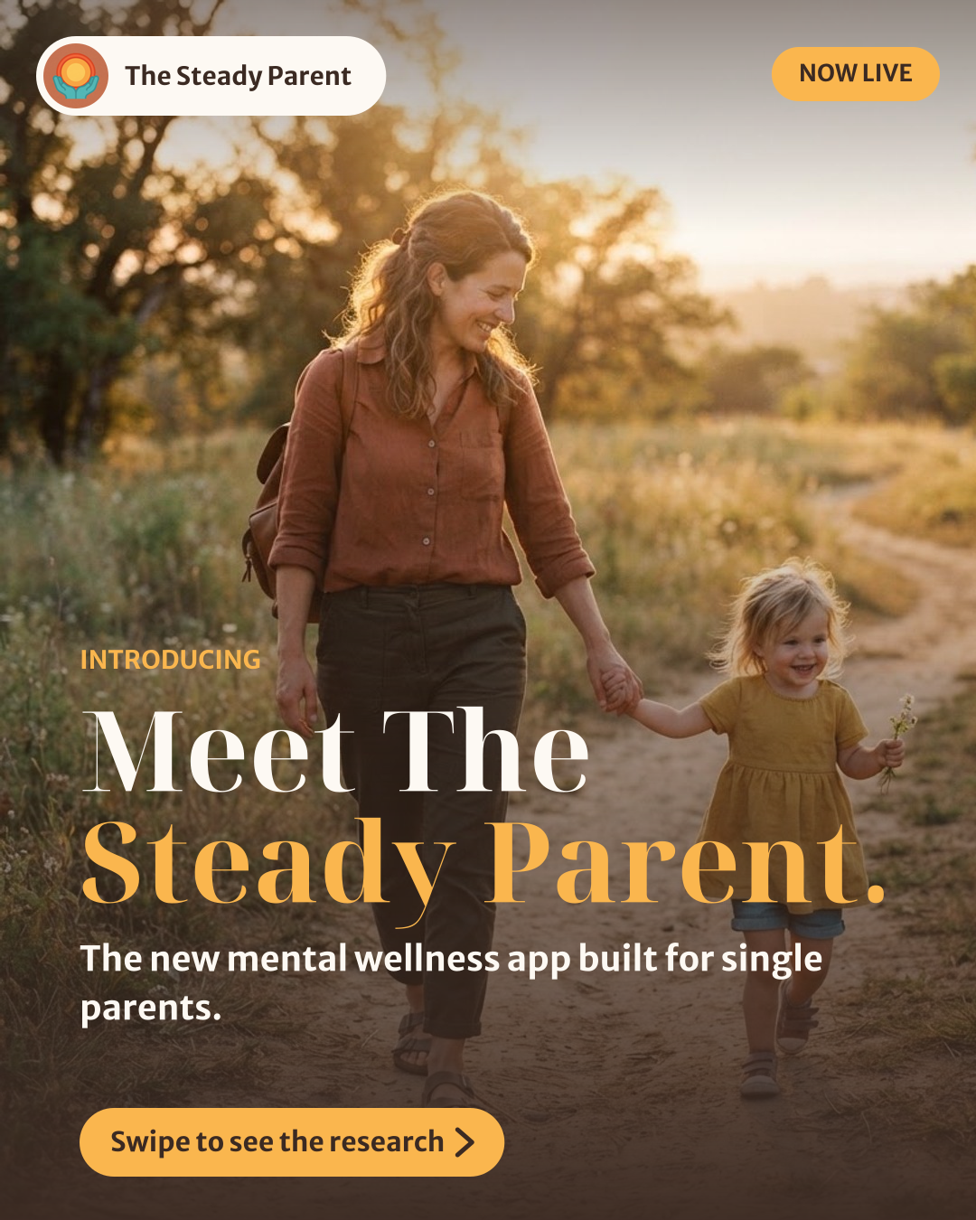 Slide 1: Meet The Steady Parent
